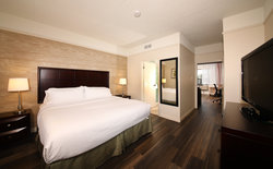  - Holiday Inn & Suites Ambassador Bridge Windsor