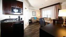  - Holiday Inn & Suites Ambassador Bridge Windsor