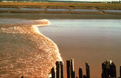  - Crowne Plaza Hotel Moncton