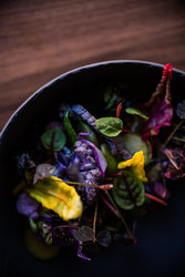  - Kimpton Aertson Hotel Nashville - I-40, Exit 209