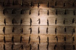  - Kimpton Palladian Hotel Seattle