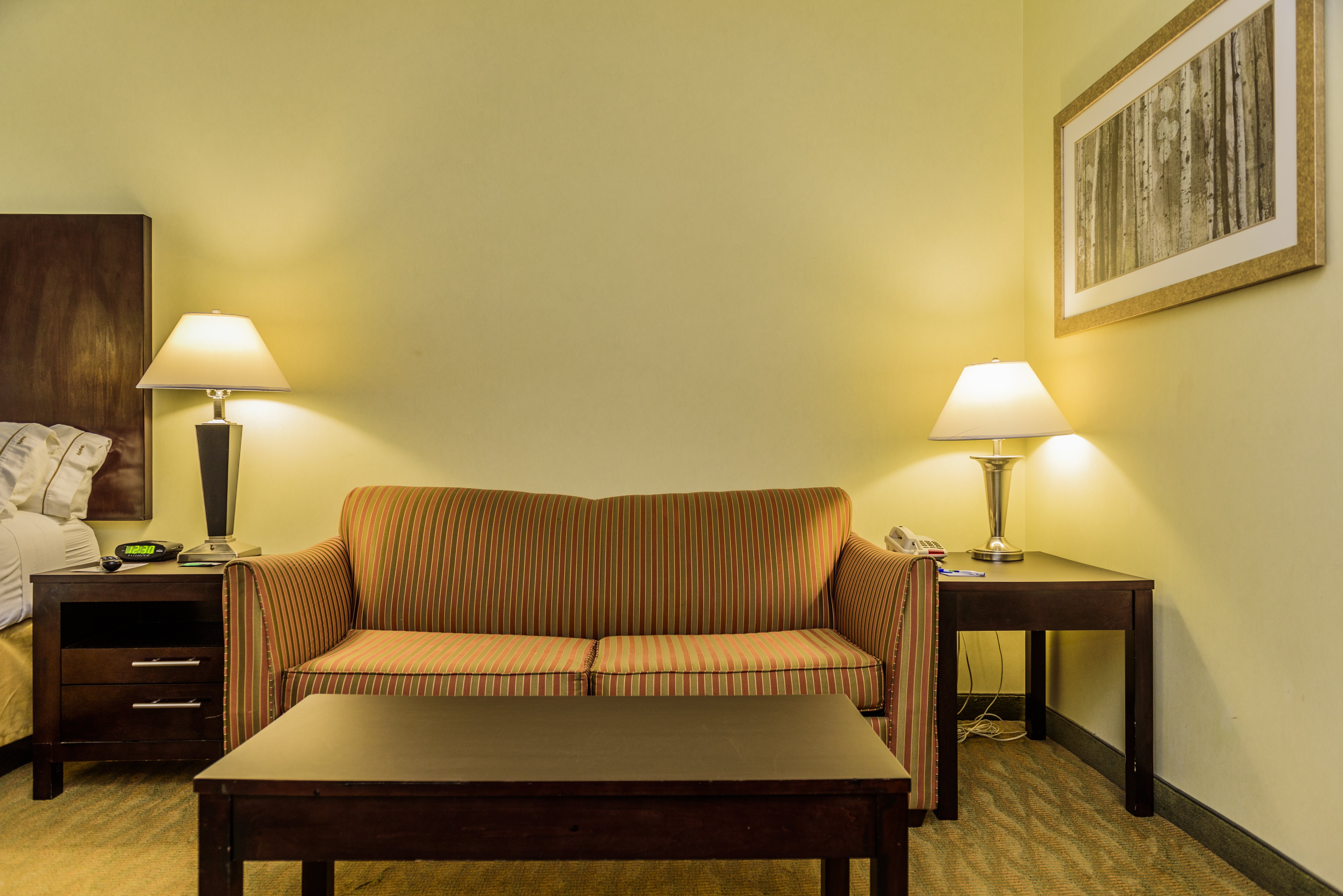 PULL OUT SOFA FOR EXTRA SLEEPING SPACE IN JR KING SUITES