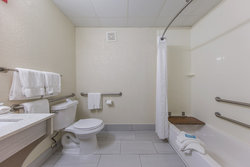  - Holiday Inn Express Dandridge - I-40, Exit 417