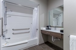  - Holiday Inn San Marcos - I-35, Exit 202