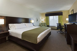  - Holiday Inn Express & Suites Tampa - I-75, Exit 270