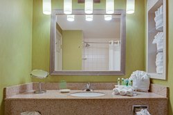  - Holiday Inn Express & Suites Tampa - I-75, Exit 270