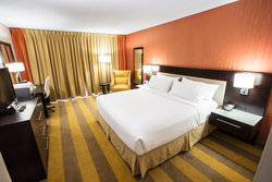  - Holiday Inn Downtown Rochester - I-490, Exit 13