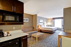  - Holiday Inn Express & Suites Downtown Toronto Area
