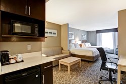  - Holiday Inn Express & Suites Downtown Toronto Area