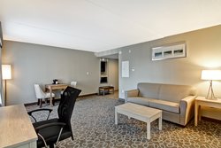  - Holiday Inn Express & Suites Downtown Toronto Area