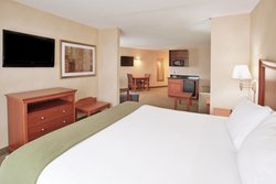  - Holiday Inn Express & Suites Auburn Hills - I-75, Exit 84