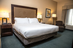  - Holiday Inn Express & Suites Novi