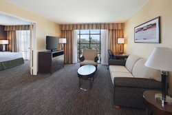  - Holiday Inn Anaheim - I-5, Exit 110