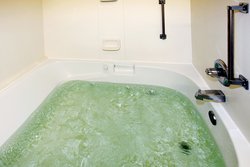  - Holiday Inn Express & Suites Cullman - I-65, Exit 310