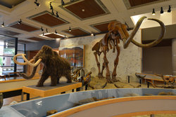  - Staybridge Suites Downtown Des Moines