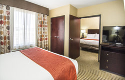  - Holiday Inn Express & Suites Elkton - I-95, Exit 109