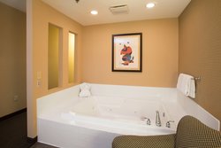  - Holiday Inn & Suites Lake Elmo - I-94, Exit 250
