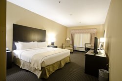  - Holiday Inn & Suites Lake Elmo - I-94, Exit 250