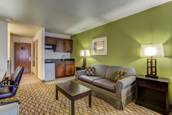  - Holiday Inn Express & Suites Montrose