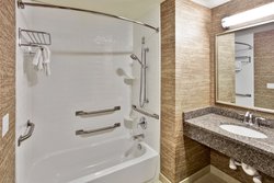  - Holiday Inn & Suites Romulus