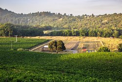  - SingleThread Farm Inn Healdsburg