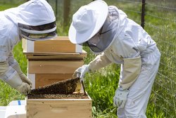  - SingleThread Farm Inn Healdsburg