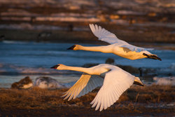  - Candlewood Suites Fairbanks