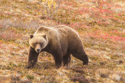  - Candlewood Suites Fairbanks