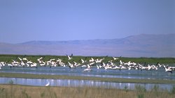  - Holiday Inn Express & Suites Brigham City - I-15 & I-84, Exit 363