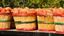  - Holiday Inn Express & Suites Brigham City - I-15 & I-84, Exit 363