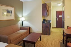  - Holiday Inn Express & Suites Winnie - I-10, Exit 829