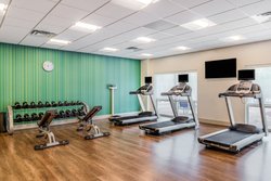  - Holiday Inn Express & Suites Wesley Chapel - I-75, Exit 275