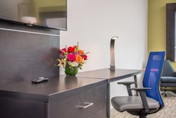  - Holiday Inn Express & Suites Wesley Chapel - I-75, Exit 275