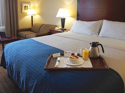  - Holiday Inn & Suites Downtown Winnipeg