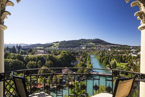 BELLEVUE PALACE - Photo 98