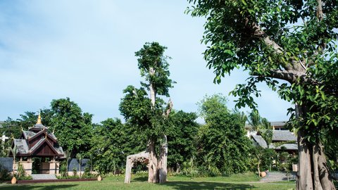 INTERCONTINENTAL XISHUANGBA RES - Photo 14