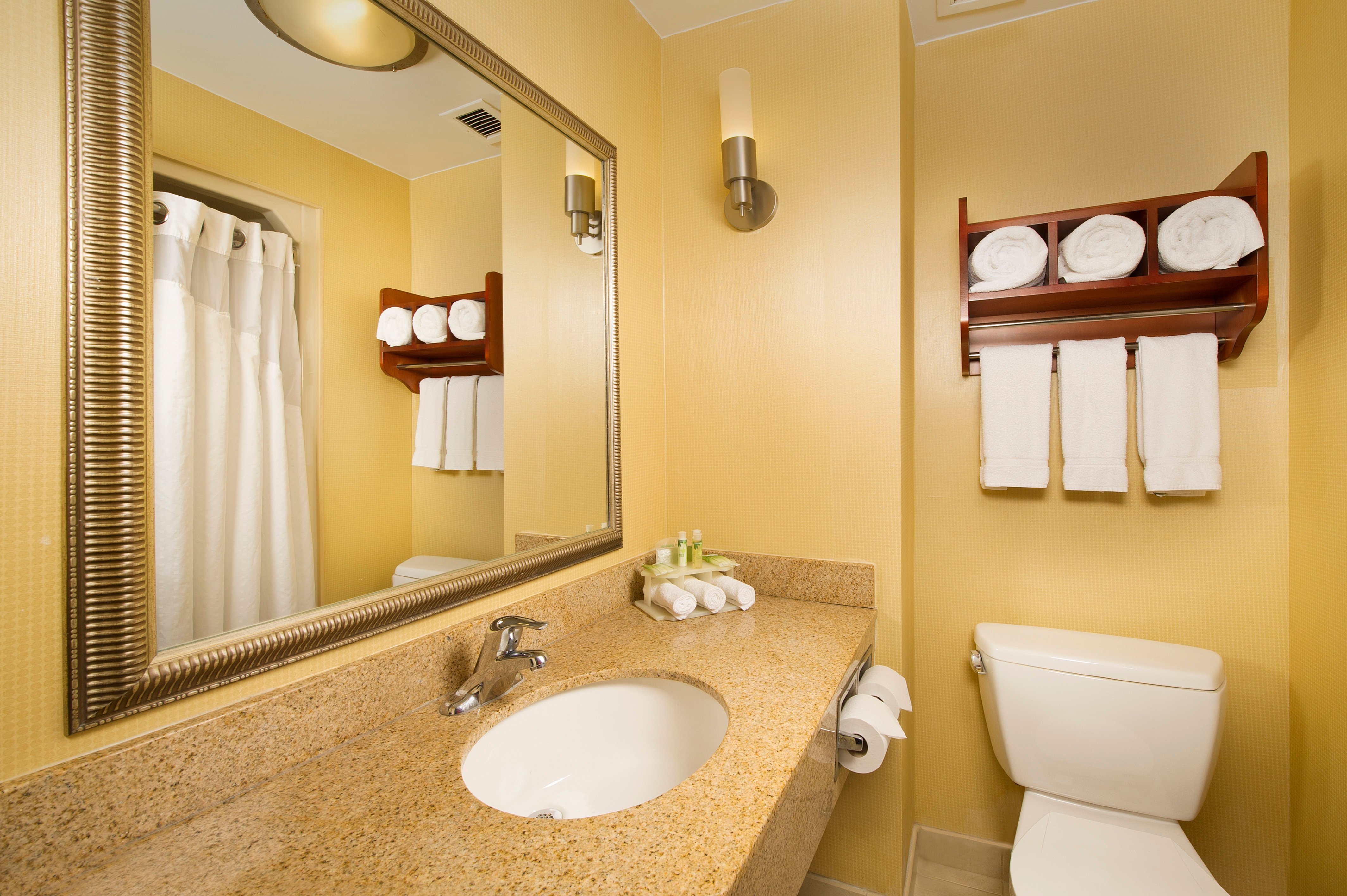 HOLIDAY INN EXPRESS DC BW PKWY BY I-guestroom-Guest Bathroom Vanity.jpg