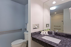  - Holiday Inn Express & Suites Dunedin