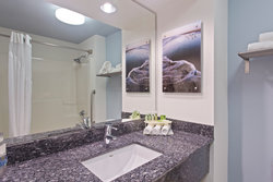  - Holiday Inn Express & Suites Dunedin