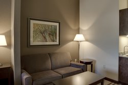  - Holiday Inn Express & Suites Nevada - I-49, Exit 101