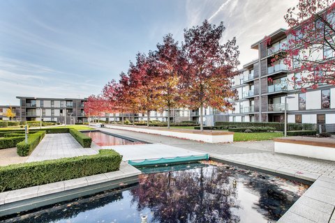 Water Gardens