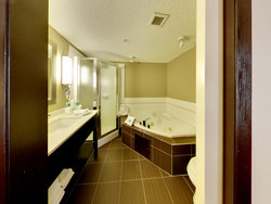  - Holiday Inn Express & Suites Edmonton Airport Nisku