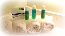  - Holiday Inn Express Helen