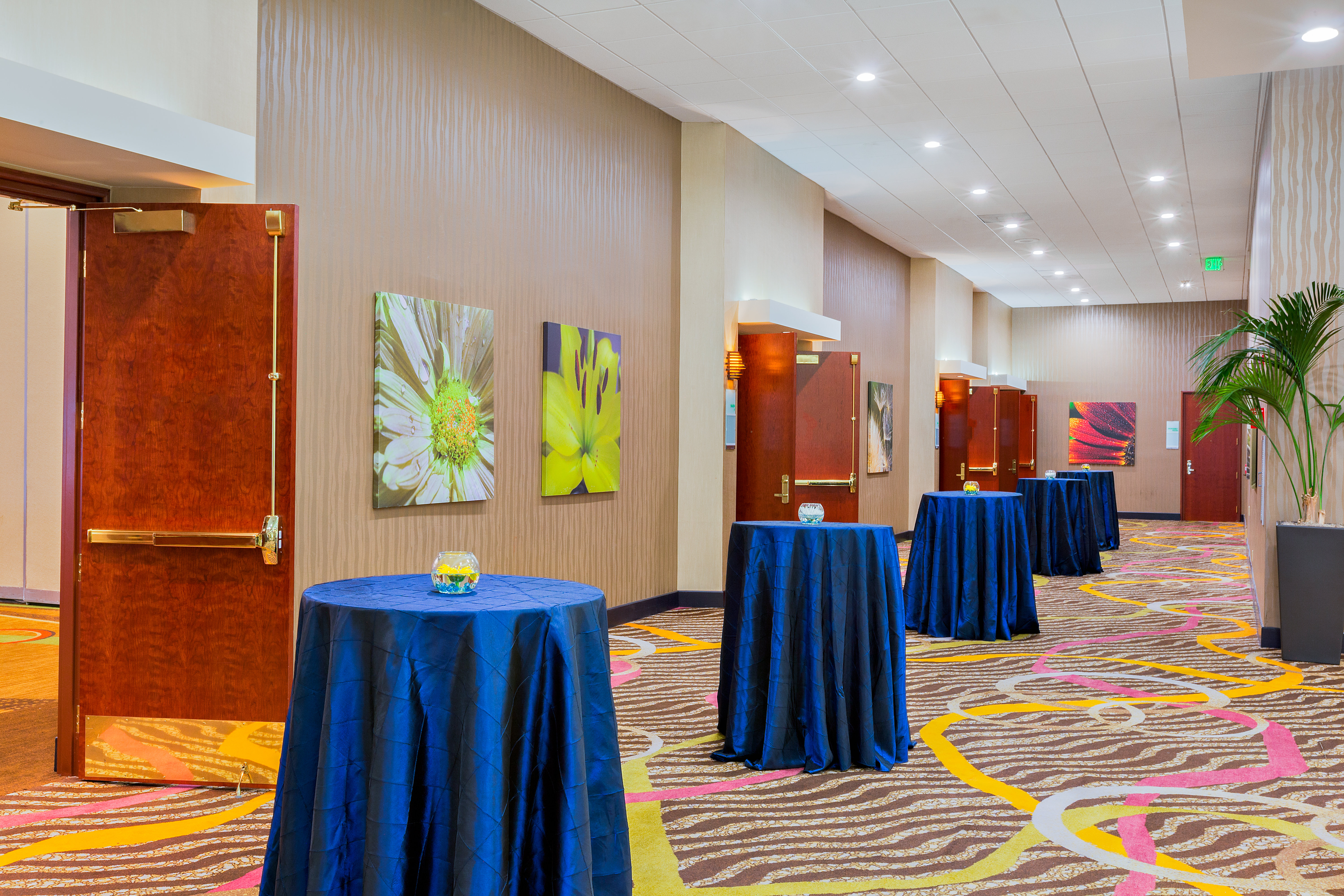 Pre-function Area perfect for Exhibits and Receptions