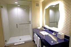  - Hotel Indigo Naperville
