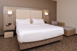  - Holiday Inn Express & Suites Williams