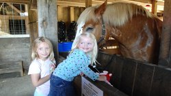  - Holiday Inn North Shore Skokie - I-94, Exit 39