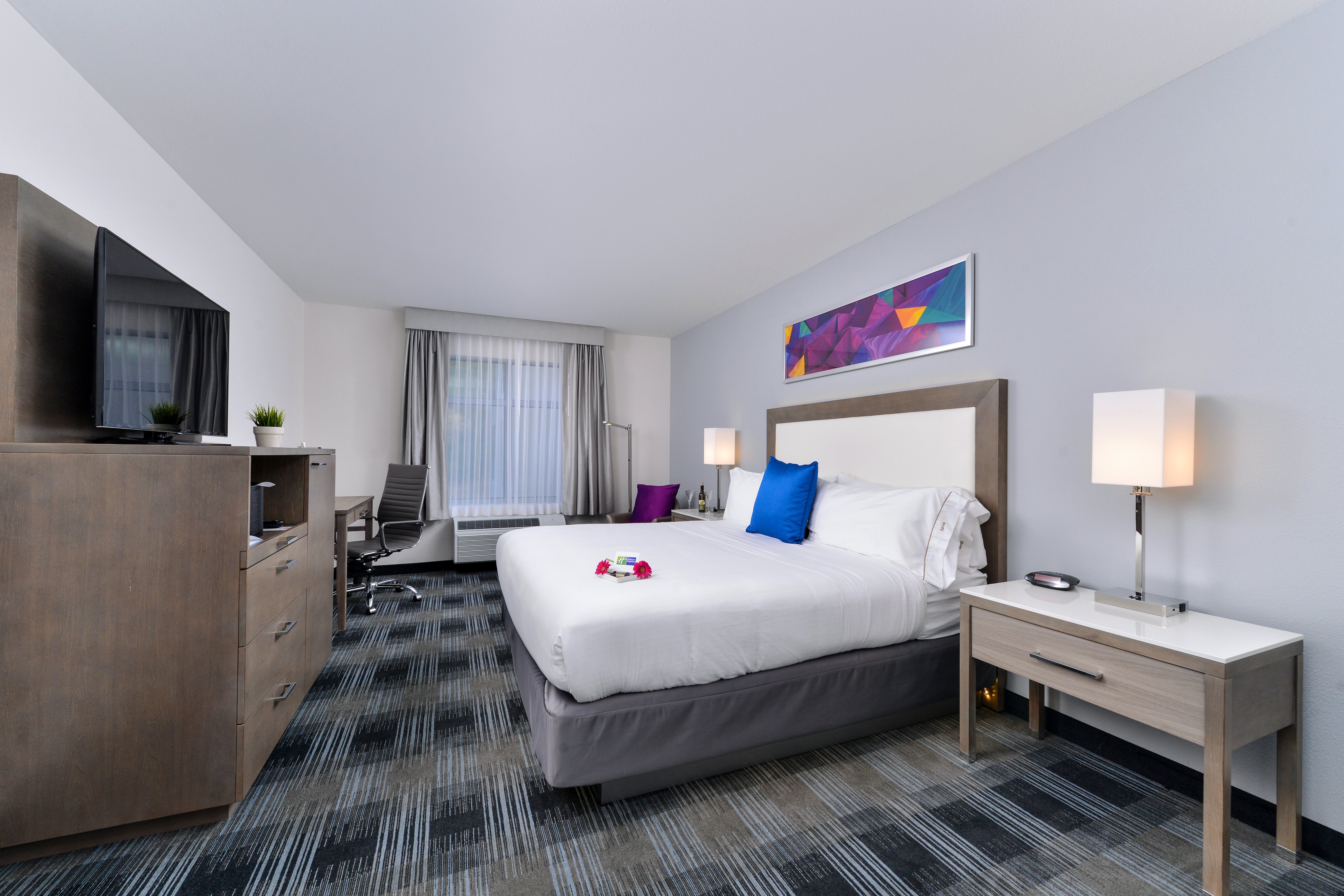 HOLIDAY INN EXP STES HOTEL CIRCLE B, photo 3