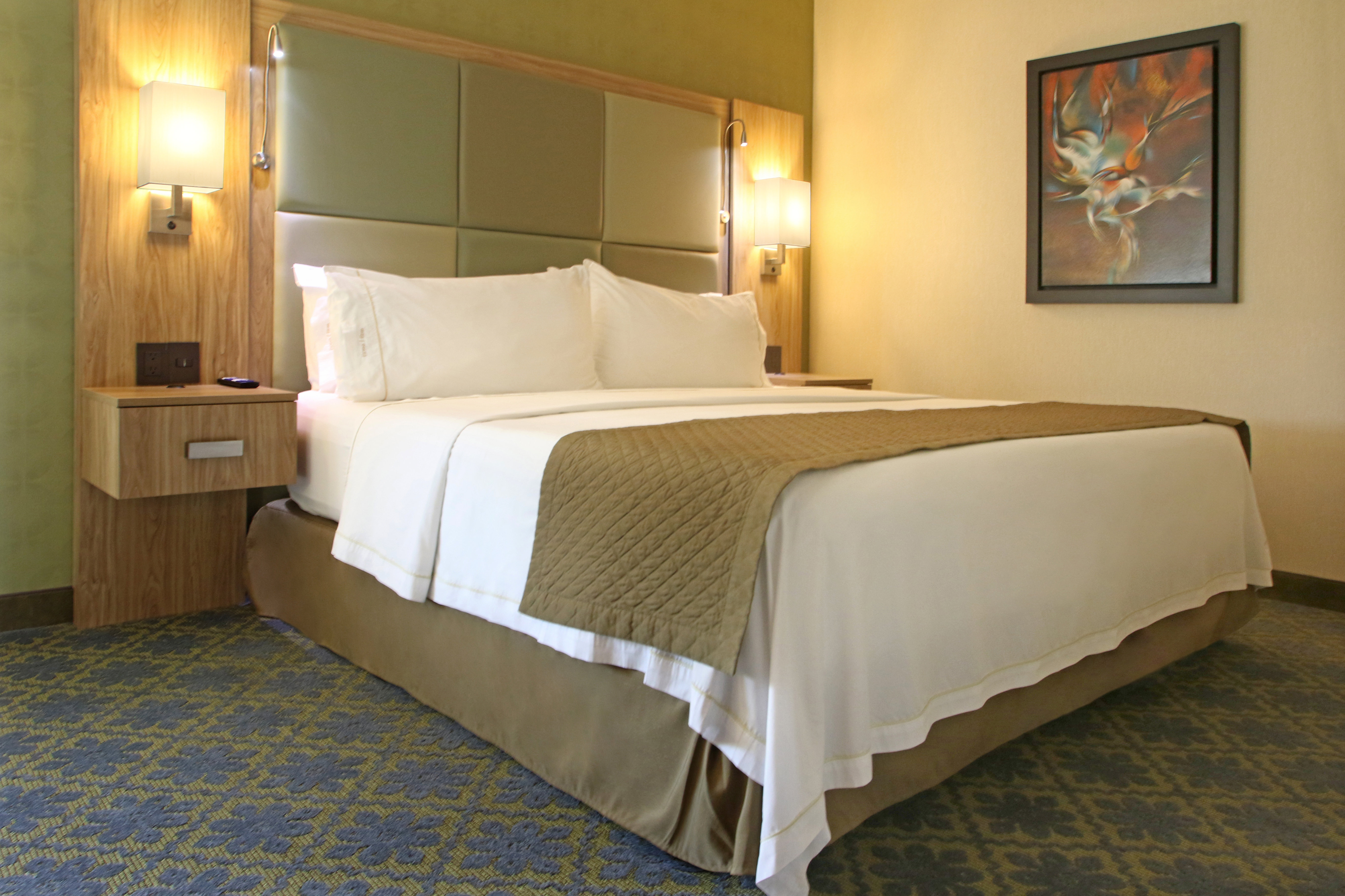 HOLIDAY INN EXP CUERNAVACA BY IHG-guestroom-King Bed Guest Room.jpg