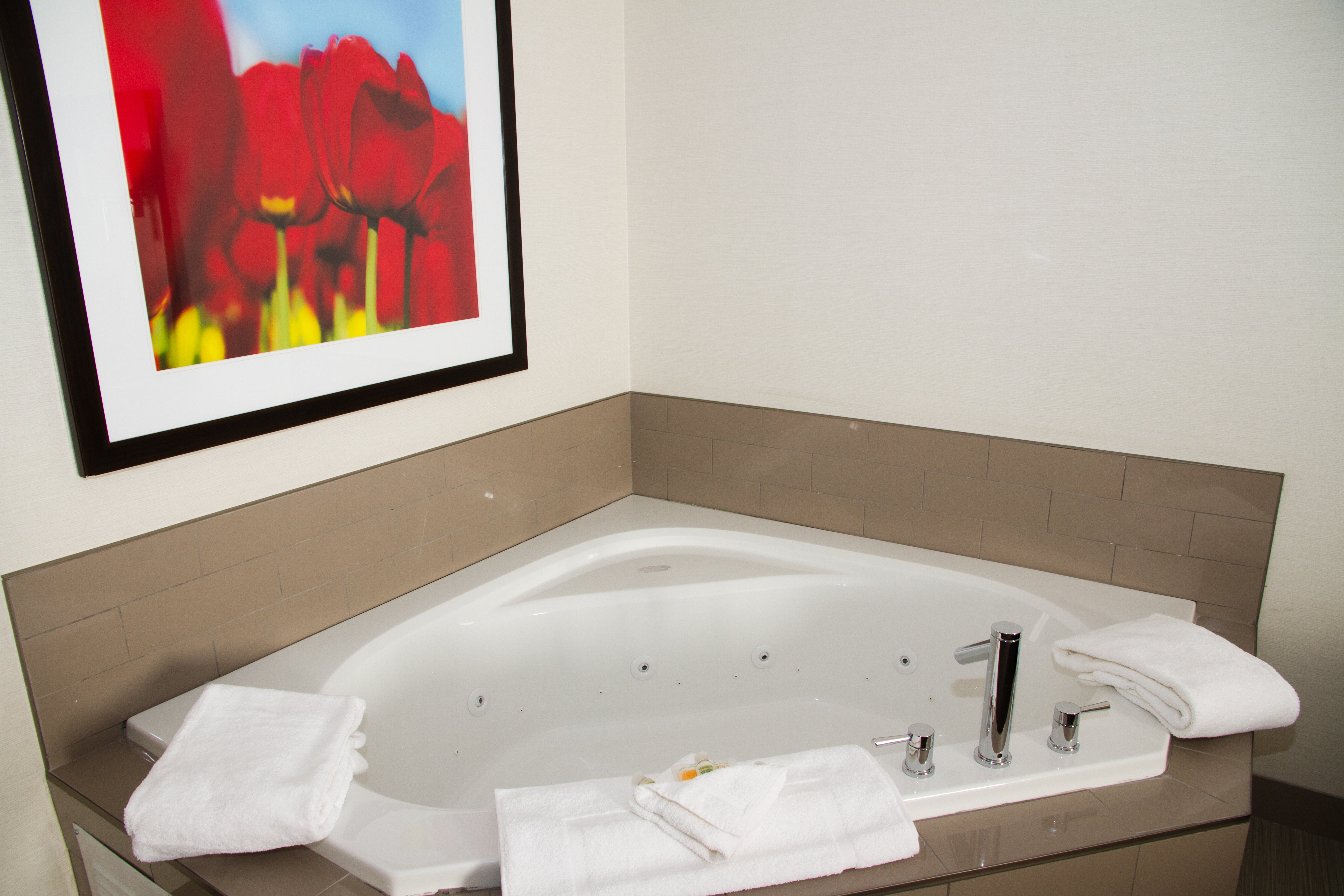 Holiday Inn & Suites Red Deer South Jacuzzi Suite